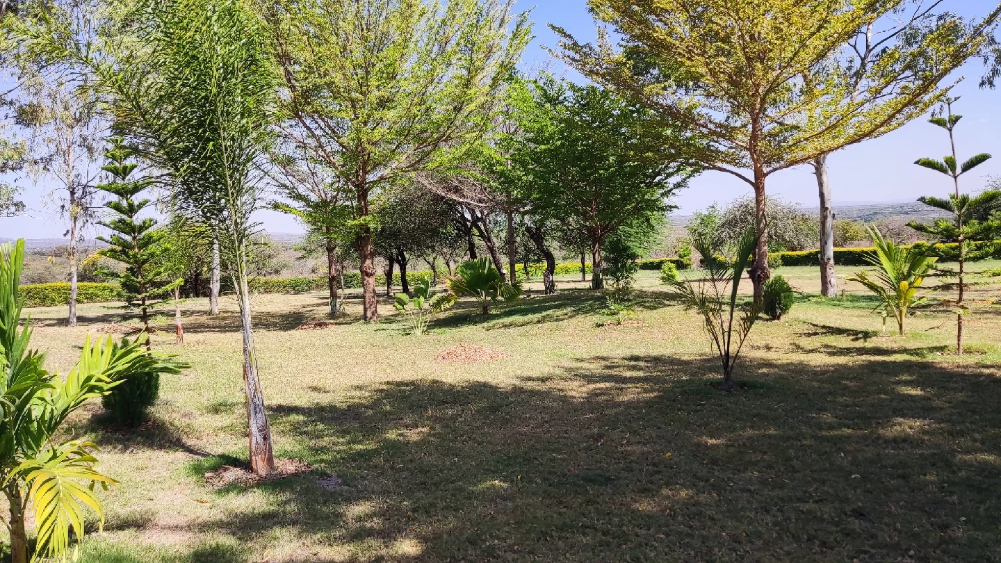 IMG 20251019 144508 1