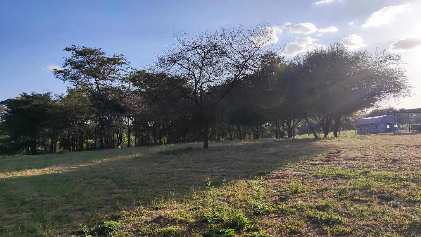 IMG 20251019 171823 1